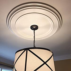 Ceiling Medallions Adds Instant Value